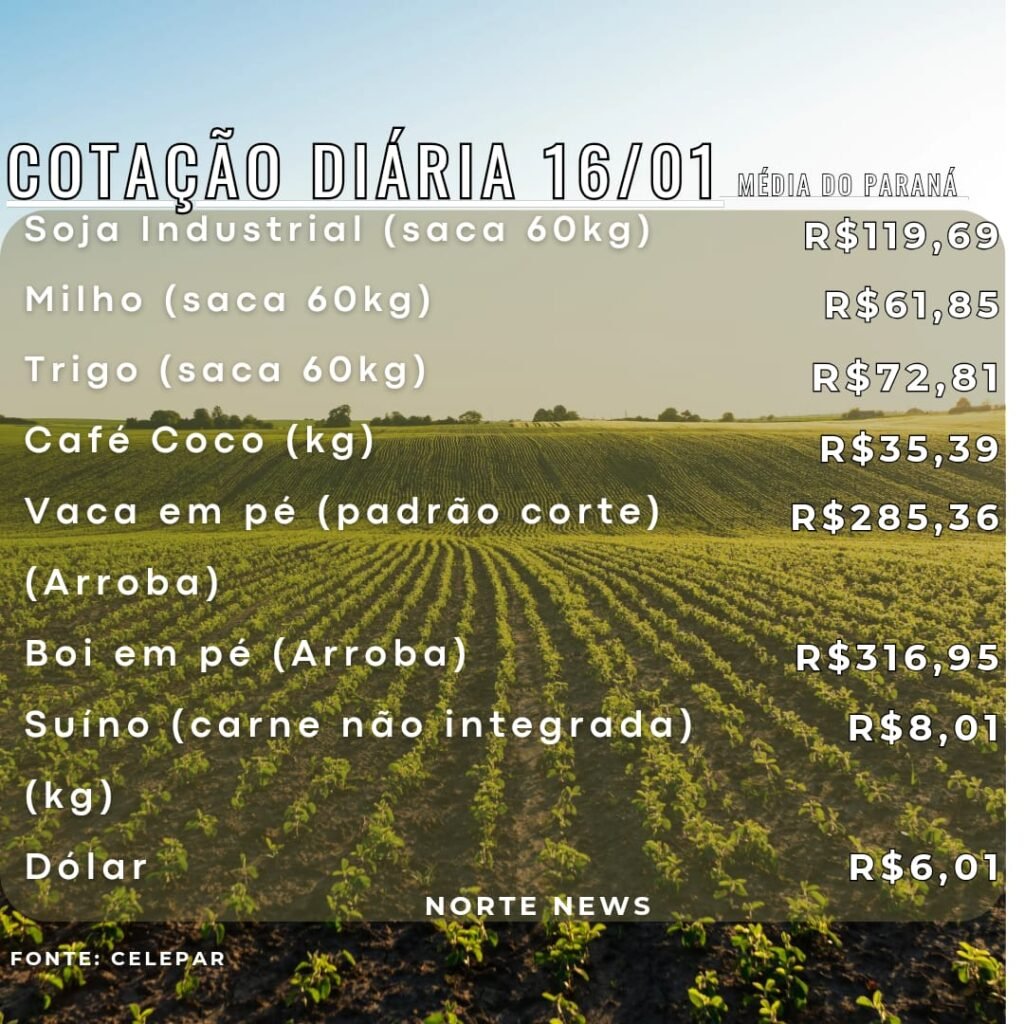 cotação