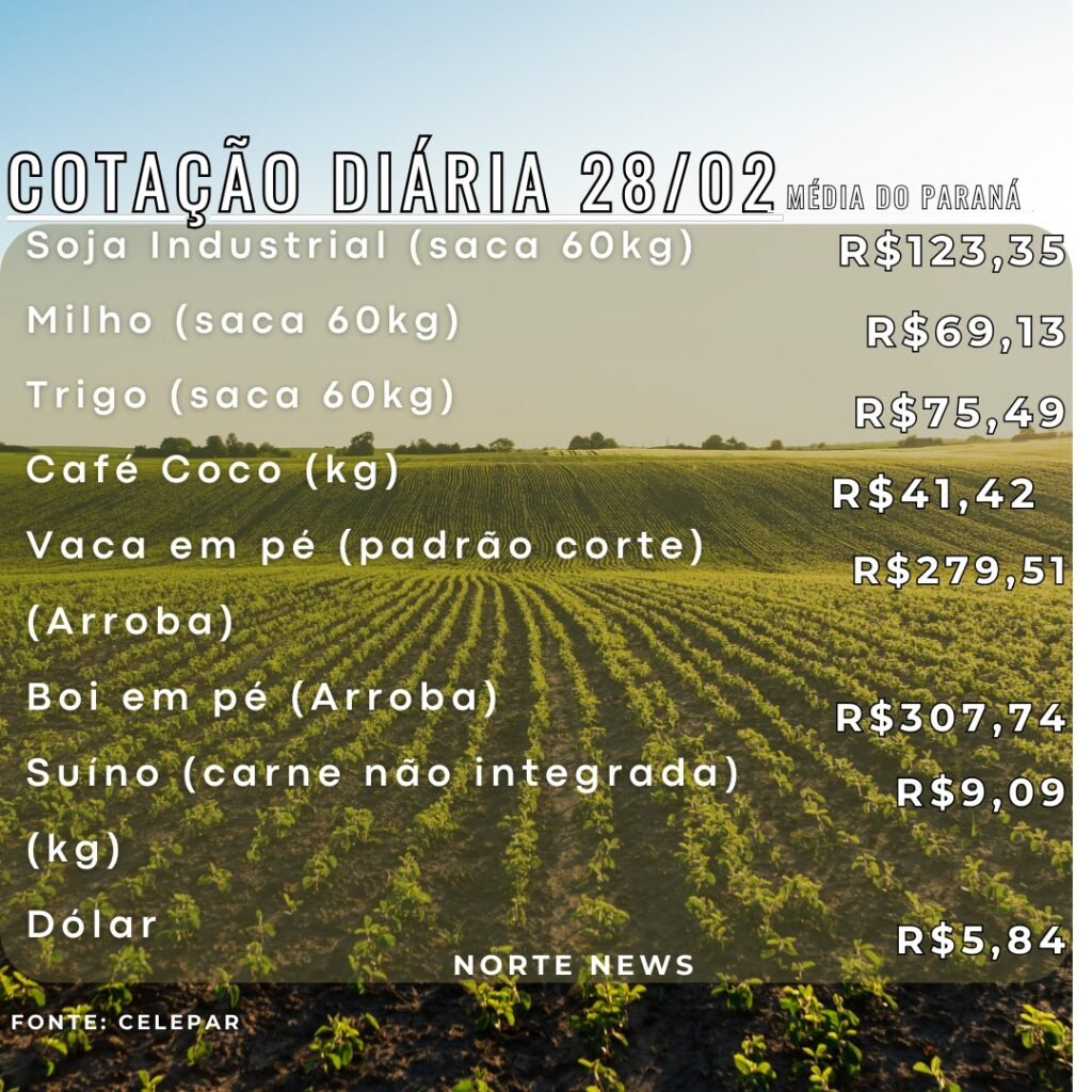 WhatsApp Image 2025-02-28 at 12.36.14