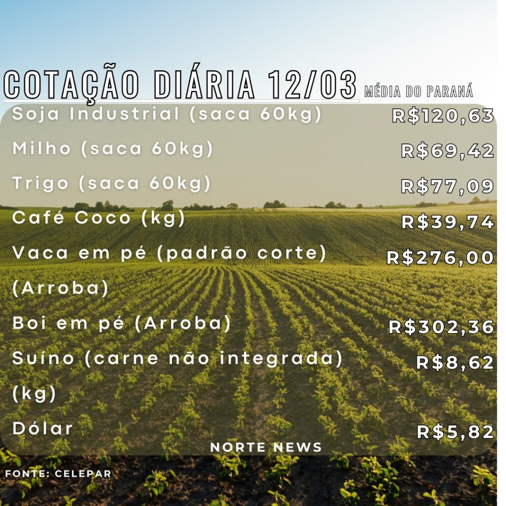 WhatsApp Image 2025-03-12 at 12.24.09