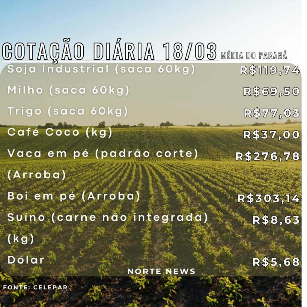 WhatsApp Image 2025-03-18 at 13.11.46