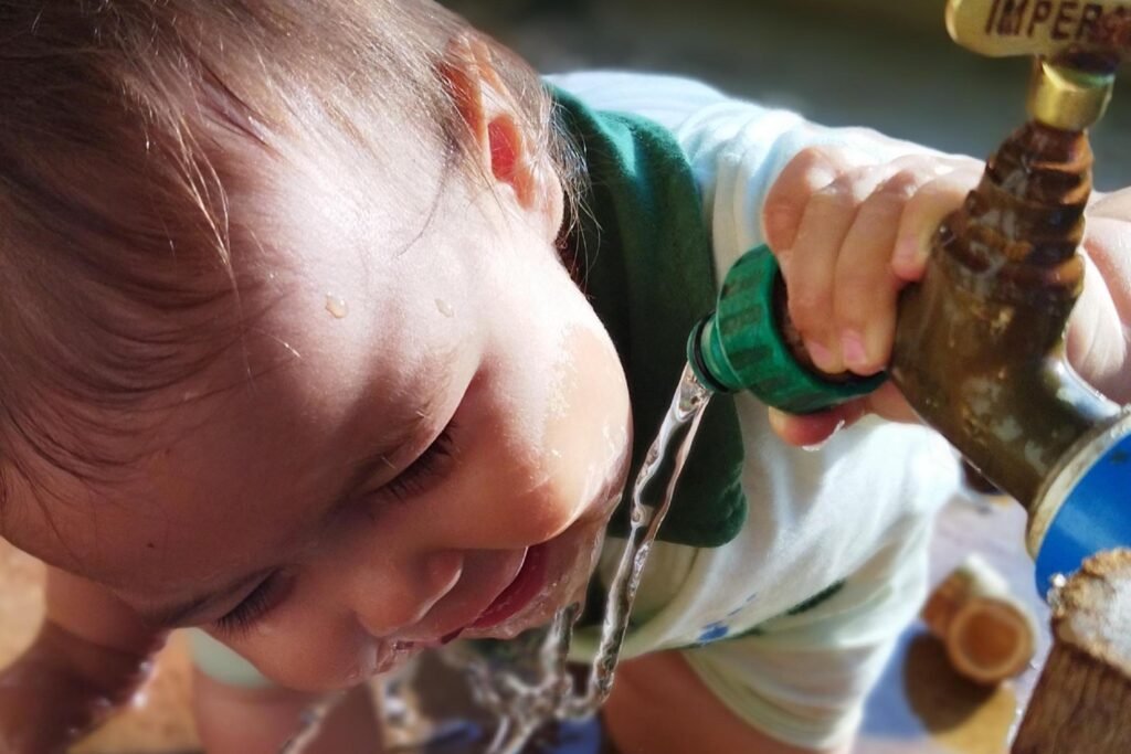 foto_1_credito_priscila_donadello_figueiredo