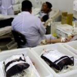 Mais de 230 mil bolsas de sangue foram coletadas no Paraná em 2024